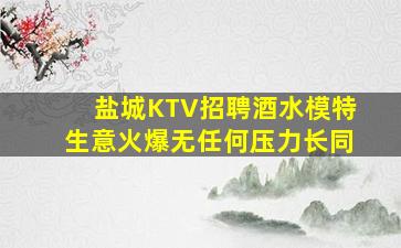 盐城KTV招聘酒水模特生意火爆无任何压力长同